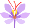 Saffron