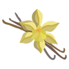 Vanilla